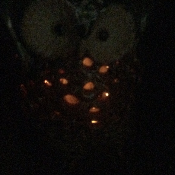 Vintage Light Up Owl - Picture 12 of 16